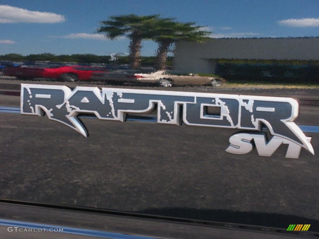 2010 Ford F150 SVT Raptor SuperCab 4x4 Marks and Logos Photo #38561493