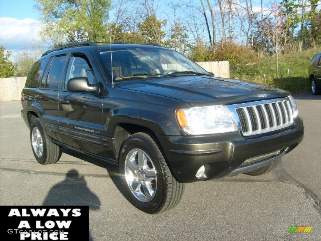 2004 Grand Cherokee Limited 4x4 - Dark Khaki Pearl / Taupe photo #1