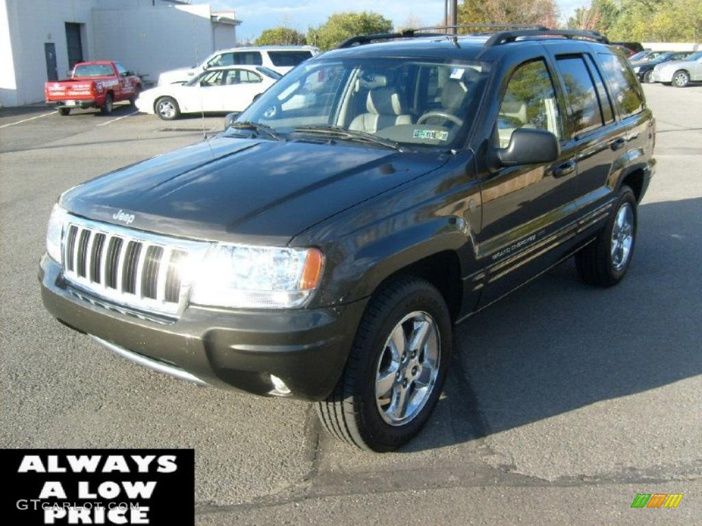 2004 Grand Cherokee Limited 4x4 - Dark Khaki Pearl / Taupe photo #3