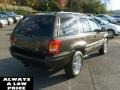 2004 Dark Khaki Pearl Jeep Grand Cherokee Limited 4x4  photo #7