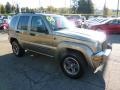 Light Khaki Metallic - Liberty Rocky Mountain Edition 4x4 Photo No. 6