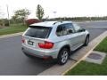 Titanium Silver Metallic - X5 xDrive30i Photo No. 6