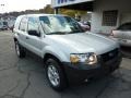 2006 Silver Metallic Ford Escape XLT V6 4WD  photo #3