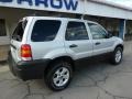 2006 Silver Metallic Ford Escape XLT V6 4WD  photo #10