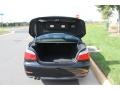 Jet Black - 5 Series 528xi Sedan Photo No. 15