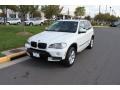 Alpine White - X5 3.0si Photo No. 2