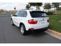Alpine White - X5 3.0si Photo No. 4