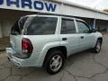 2008 Moondust Metallic Chevrolet TrailBlazer LS 4x4  photo #10