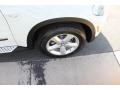 Alpine White - X5 3.0si Photo No. 9