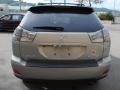 Bamboo Green Pearl - RX 350 AWD Photo No. 6