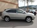Bamboo Green Pearl - RX 350 AWD Photo No. 8
