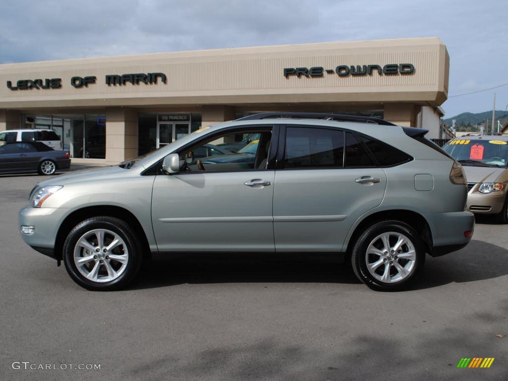 2009 RX 350 AWD - Bamboo Pearl / Parchment photo #4