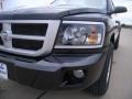 Brilliant Black Crystal Pearl - Dakota Big Horn Crew Cab Photo No. 9