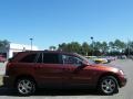 2007 Cognac Crystal Pearl Chrysler Pacifica Touring  photo #6
