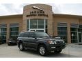 2004 Galactic Gray Metallic Lexus LX 470 #38549545