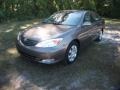 Phantom Gray Pearl - Camry XLE Photo No. 15