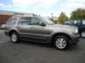 Mineral Grey Metallic - Aviator Luxury AWD Photo No. 9