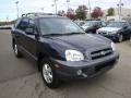 2005 Moonlit Blue Hyundai Santa Fe GLS 4WD  photo #5