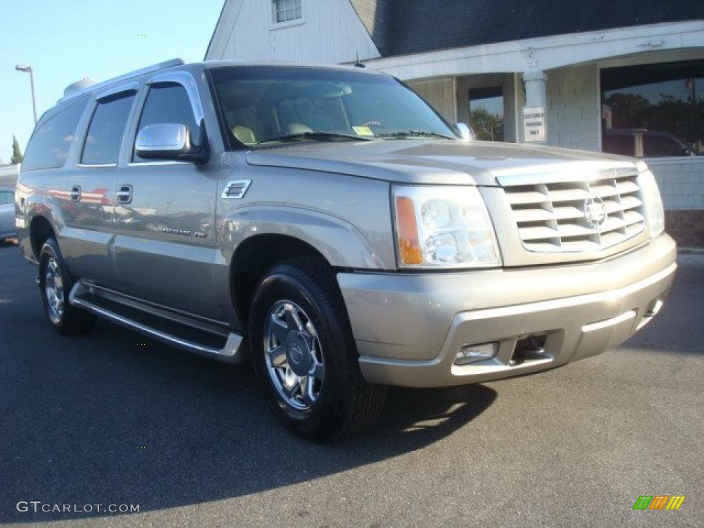 2003 Escalade ESV AWD - Silver Sand / Shale photo #6