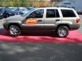 Light Pewter Metallic - Grand Cherokee Laredo 4x4 Photo No. 9