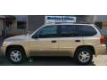 Sand Beige Metallic - Envoy SLT 4x4 Photo No. 2