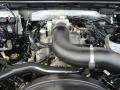4.6 Liter SOHC 16-Valve Triton V8 2006 Ford F150 XLT SuperCrew 4x4 Engine