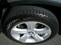 2011 BMW X6 xDrive50i Wheel and Tire Photo
