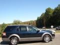 2008 Dark Ink Blue Metallic Ford Taurus X SEL  photo #1