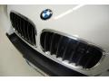 Alpine White - X5 3.0si Photo No. 14