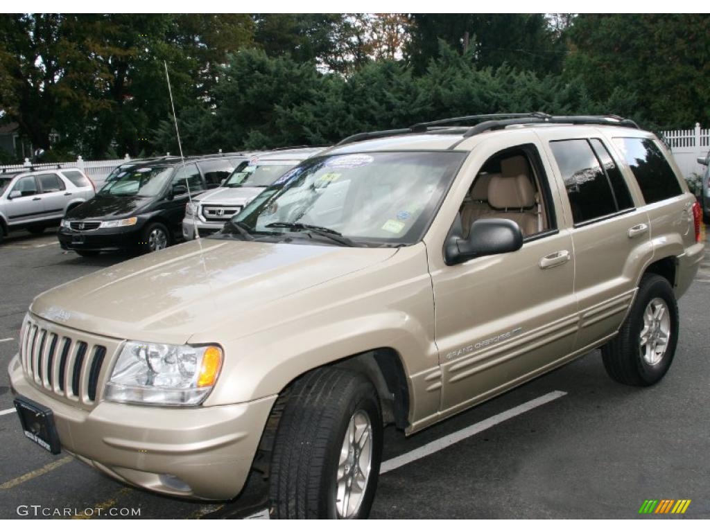 1999 Grand Cherokee Limited 4x4 - Champagne Pearl / Camel photo #1