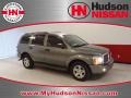 Mineral Gray Metallic 2005 Dodge Durango SLT