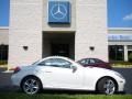 2010 Arctic White Mercedes-Benz SLK 300 Roadster  photo #5