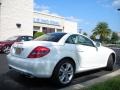 2010 Arctic White Mercedes-Benz SLK 300 Roadster  photo #6