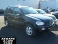 Black - ML 320 4Matic Photo No. 1
