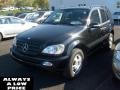 Black - ML 320 4Matic Photo No. 2