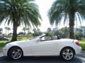 2010 Arctic White Mercedes-Benz SLK 300 Roadster  photo #13