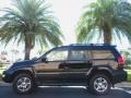 Black Onyx - GX 470 Photo No. 1