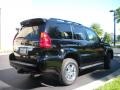 Black Onyx - GX 470 Photo No. 6