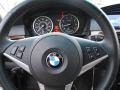 Grey Steering Wheel Photo for 2008 BMW 5 Series #38633942