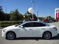 Winter Frost White - Maxima 3.5 SV Photo No. 2