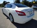 Winter Frost White - Maxima 3.5 SV Photo No. 3