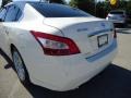 Winter Frost White - Maxima 3.5 SV Photo No. 10