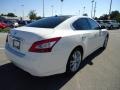 Winter Frost White - Maxima 3.5 SV Photo No. 12
