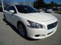 Winter Frost White - Maxima 3.5 SV Photo No. 14