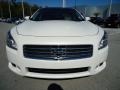 Winter Frost White - Maxima 3.5 SV Photo No. 21