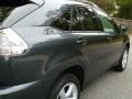 Flint Gray Mica - RX 330 AWD Photo No. 11