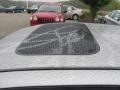2008 Ford Focus Charcoal Black Interior Sunroof Photo