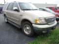 1999 Harvest Gold Metallic Ford Expedition XLT 4x4  photo #1