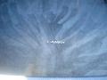 Phantom Gray Pearl - Camry LE Photo No. 13