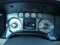 Tan Gauges Photo for 2010 Ford F150 #38665190